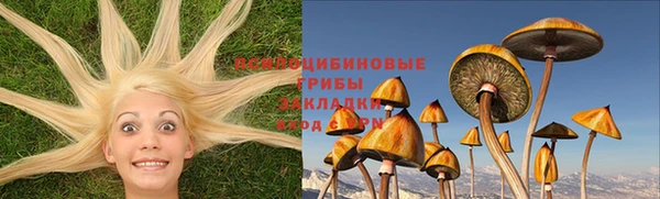 герыч Елизово
