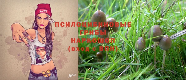 эйфоретик Елабуга