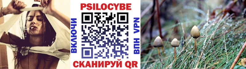 мориарти как зайти  Москва  Псилоцибиновые грибы прущие грибы 